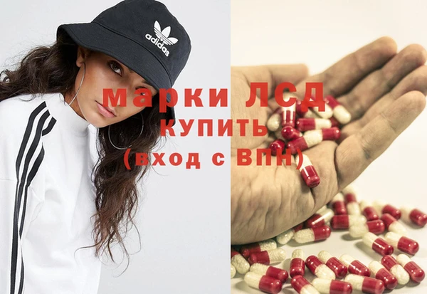 стафф Абинск
