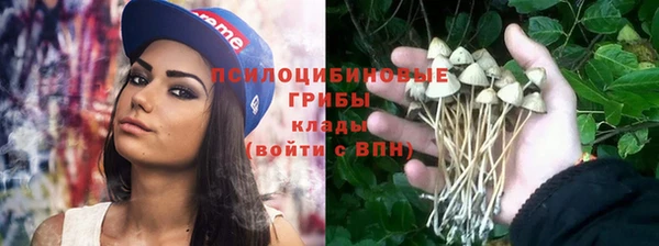 стафф Абинск