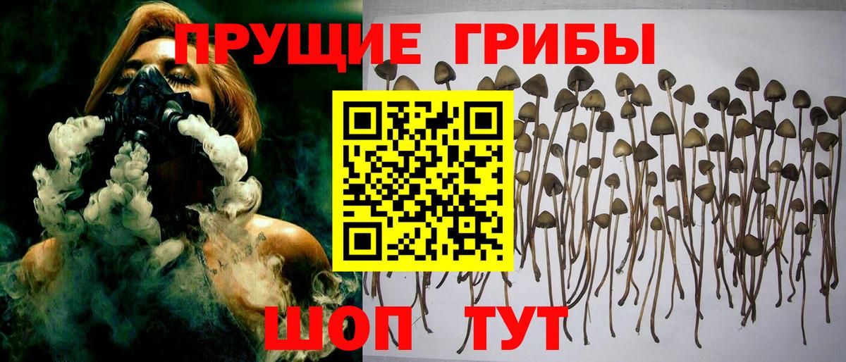 Псилоцибиновые грибы Psilocybine cubensis  Псилоцибиновые грибы Cubensis  Альметьевск  купить наркотики цена  Вход с VPN 