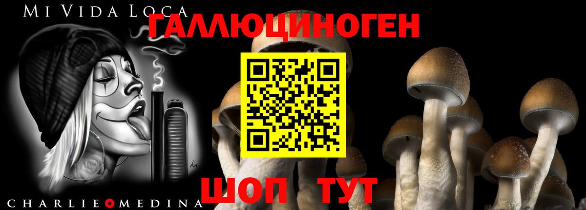 Псилоцибиновые грибы мухоморы Альметьевск